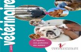 ORDRE DES VÉTÉRINAIRES vétérinaire des métiers · 1 juillet 2016 un diplôme une profession vétérinaire des métiers vétérinaire un diplôme, une profession, des métiers