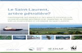 Le Saint-Laurent, artère pétrolière? - snapqc.orgsnapqc.org/uploads/DSF_SNAP_WWF_pipelines_Rapport-final.pdf · Le Saint-Laurent, artère pétroLière? Cartographie des risques