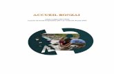 ACCUEIL BONZAI - bonzai-voyage-solidaire.combonzai-voyage-solidaire.com/wp-content/uploads/2017/12/PP-ALSH-.pdf · CAP petite enfance, AMP, ... activité, un espace neutre ... Durant