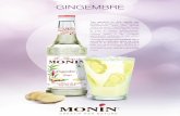 GINGEMBRE - cdn.monin.com · les produits MONIN. Remplir le verre de glaçons servir. Gingembre & Vermouth Rouge • 15 ml de sirop de Gingembre MONIN • 40 ml de vermouth* rouge