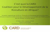 Coalition pour le Développement de la Riziculture en … · Formation organisée par la JICA sur “Promotion du Développement de la Riziculture ... pays de l’Afiue au Sud du
