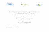 Bilan hydrologique du bassin de la Donga (zone …horizon.documentation.ird.fr/exl-doc/pleins_textes/divers17-05/... · Responsable de stage: Luc ... Afin de suivre le bilan hydrique