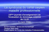 Le syndrome du canal carpien -maladie professionnelledesevasa.ulb.ac.be/.../06/...canal-carpien-maladie-professionnelle.pdf · maladie professionnelle ... Clinique Saint-Jean Expert