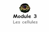 Le transport membranaire - sites.nbed.nb.casites.nbed.nb.ca/wiki/ecc-ffs/biologieI/Documents partages/Module 3... · cellulaire ou le transport membranaire. Transport cellulaire ...
