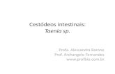 Cestódeos intestinais: Taenia sp. - profbio.com.br · –T.solium: 1,5 a 8 metros ... aderência dos acúleos • Aproximadamente 3 meses após a ingestão do cisticerco, a tênia