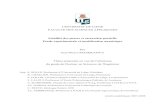 UNIVERSITE DE LIEGE FACULTE DES SCIENCES …bictel.ulg.ac.be/ETD-db/collection/available/ULgetd-06062008... · UNIVERSITE DE LIEGE FACULTE DES SCIENCES APPLIQUEES Stabilité des pentes