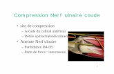 Compression Nerf ulnaire coude - sante.travail.free.frsante.travail.free.fr/.../2008-2009/2008-12-09/Legre-coude-main.pdf · Compression Nerf ulnaire coude • site de compression