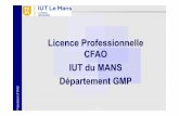Licence Professionnelle CFAO IUT du MANS …iut.univ-lemans.fr/lp/donnees/Présentation LP CFAO 2018 2019... · -Fabrication additive métal. ... TP de mise en oeuvre sur presse d’emboutissage.