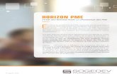 HORIZON PME - .Horizon PME Etude des besoins pour la croissance des PME 1 ... maturation et de validation