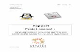 Rapport Projet avancé - kadionik.vvv.enseirb-matmeca.fr · Développement conjoint HW/SW sur carte Xilinx ML507 sous Linux embarqué 2 / 18 CHAPITRE 1. Introduction Dans le ad e