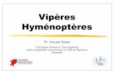 Vipères & Hyménoptères - Association USEP 94 · • initiale, qui peut être absente • retardée, ... • pansement humide, chaleur, vinaigre, Aspivenin®? §Réactions toxiques