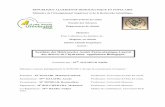 Synthèse des Hétérocycles Azotés Penta -atomique à …theses.univ-oran1.dz/document/TH3331.pdf · 2015-05-05 · Introduction générale d’hétérocycles azotés à cinq chaînons