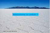 M tabolisme du sodium - DES Ped Auvergne Rhône Alpes · Equilibre Osmotique H2O. LIC = 290 mOsmol/L Déficit en eau Natrémie Osmolarité EC LEC = 320 mOsmol/l H2O Déficit en eau