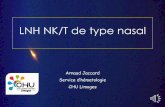 LNH NK/T de type nasal - aihemato.cluster013.ovh.netaihemato.cluster013.ovh.net/AIH/documents/DES 2017-01-13/A Jaccard... · autogreffe Allogreffe ... (BEAM) avec réinjection de
