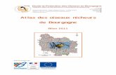 Atlas des oiseaux nicheurs de Bourgogne - epob.free.frepob.free.fr/spip/IMG/pdf/Atlas_rapport_2011_EPOB_qualite_internet.pdf · certains oiseaux marins, des ardéidés, des laro‐limicoles…