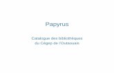 Papyrus - cegepoutaouais.qc.ca1).pdf · • Papyrus rend possible: – le repérage des documents – la consultation du dossier d’usager – le renouvellement de prêts de documents