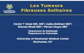 Les Tumeurs Fibreuses Solitaires - pe.sfrnet.orgpe.sfrnet.org/Data/ModuleConsultationPoster/pdf/2010/1/17f4d446-a... · Il ya une masse homogène dans les tissus sous-cutanés du