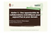 Atelier 1 : Des opportunités de collaborations ... · Professeur Etienne Montaigne SupAgro MOISA (France) Les forces de l’agriculture hongroise en matière de recherche, d’enseignement