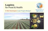 Lupins for food and health - Coorow Seeds Sweeting… · • Australian Food Standards Code A12 (FSANZ) ... and potential health benefits • Lupin products can substitute for, ...