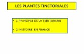 LES PLANTES TINCTORIALES - AVSANE · dévidage des fils ( fileuses ou filature ) /tissage . TECHNIQUE ET INDUSTRIE IMPORTEE ... lisse ) de Beauvais ( basse lisse ) et La Savonnerie