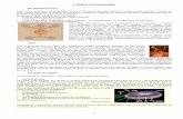L’ARBRE PHYLOGENIQUE - blog.cpi-plongee.frblog.cpi-plongee.fr/Documents/Bio/arbre_phylo.pdf · formes coloniales d'algues est indistincte et donc le règne protiste chevauche le