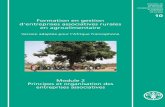 Formation en gestion d’entreprises associatives rurales … · entreprises associatives en Afrique de l’Ouest 8 Analyse de l’étude de cas 14 Concepts d’entreprise associative