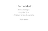 Pneumologie Introduction Anatomie fonctionnellestatic.skynetblogs.be/media/171999/2684163006.2.pdf · Subdivision des conduits aérifères intra-pulmonaires Structure des conduits