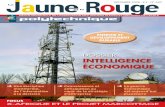 DOSSIER INTELLIGENCE ÉCONOMIQUE - La Jaune … · – Gestion du risque sur les marchés de l’énergie janvier 2009 ... 5 > L'intelligence économique, ... 51 >La puissance par