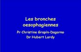 Les bronches oesophagiennes - college-chirped.fr · • Communication congénitale anormale entre l’œsophage et une bronche : – Bronche souche, lobaire ou segmentaire ... Malformation