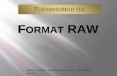 Présentation du - declicetdesclaps.free.frdeclicetdesclaps.free.fr/documents/presentations/le_format_raw.pdf · électronique … Comment capturer ... convertisseur analogique-numérique
