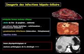 Imagerie des infections hépato-biliaire - onclepaul.netonclepaul.net/wp-content/uploads/2011/07/infections-hépato... · -facteurs favorisants : diabète , immuno dépression ,septicémie