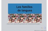Copie de Les familles lx - Français Langue … · • ex : le vietnamien , le chinois , le birman , le tibétain , le thaï, … • «Khi tôi dèn nhàban tôi, chung tôi batdau