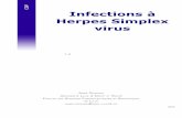 Infections à Herpes Simplex virus - psychaanalyse.com A HERPES SIMPLE… · lésions siègent au niveau des gencives, de la muqueuse buccale, sur la face interne des joues et même