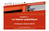 Chapitre 3 : La liaison peptidique - UNF3Sunf3s.cerimes.fr/media/paces/Grenoble_1112/seve_michel/seve_michel... · La liaison peptidique: définition • Les acides aminés sont les