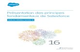 Présentation des principes fondamentaux de Salesforce · à comprendre le fonctionnement de Salesforce et les termes aident à comprendre certains composants clés. ... publication,
