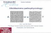 Glioblastoma pathophysiology - lgksociety.com · Glioblastoma pathophysiology: M.J. van den Bent The Brain Tumor Center at Erasmus MC Cancer Center. Rotterdam, the Netherlands. A.