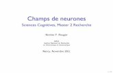 Champs de neurones - LaBRI · Le neurone biologique • Un neurone est une cellule exictable qui peut transmettre de l’information via des ... interactions in localized populations