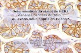 Détermination du statut de HER2 dans les cancers du seinepathologies.com/sem/Sein1204/HER2.pdf · ERBB2/ Neu/HER2 • Gène: oncogène ... Score Marquage Indication Herceptin® ...