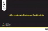L’Université de Bretagne Occidentale · Vasculaire – Médecine préventive, prédictive, personnalisée ! Vulnérabilité ! Imagerie ! Interface chimie-santé ! Microbiologie