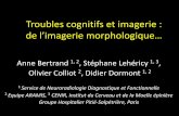 Troubles cognitifs et imagerie : de l’imagerie … · 2014-05-19 · •Troubles visuels complexes, syndrome de Gertsman, apraxie •Atrophie occipito-pariétale à prédominance