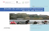 Etude dupeuplement pisciaire du Lac de Morat - vd.ch · Jean Guillard, INRA Thonon ... de l’artificialisation totale actuelle du régime hydrologique. Il est, par ailleurs, important