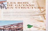 compte des défauts du bois dans les contrai - ctbg.cirad.frctbg.cirad.fr/content/download/913/5140/file/bois-structure.pdf · LES BOIS DE GUYANE EN STRUCTURE Ce document a été