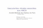 Vascularites rénales associées aux ANCA - SMHP92.243.21.255/wp-content/uploads/2013/11/73-vanhille-web.pdf · Vascularites rénales associées aux ANCA Société Médicale des Hôpitaux