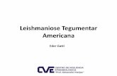 Leishmaniose Tegumentar Americana - Cidadão · Vasculites Sarcoidose Úlcera de estase venosa Úlcera ...