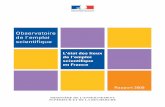 L'état des lieux de l'emploi scientiﬁque en Francecgt.fercsup.net/IMG/pdf/EtatDesLieuxEmploiScientifique_Rapport2009.… · de l'emploi scientiﬁque en France ... La définition