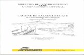 LAGUNE DE SALSES-LEUCATE - Archimerarchimer.ifremer.fr/doc/00073/18423/15966.pdf · 1.1. Thèmes d'études Le premier et principal thème considéré est la qualité sanitaire de