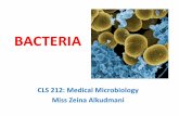 Bacteria - جامعة الملك سعودfac.ksu.edu.sa/sites/default/files/5-Bacteria.pdf · from bursting when there are large differences in osmotic ... • Plasmids are small