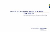 Arbeitsprogramm 2005 - bibb.de · die Beobachtung, Analyse und Dokumen-tation des individuellen Bildungsverhaltens als auch um das Qualiﬁ zierungsangebot von ... fungs- und Assessmentverfahren,