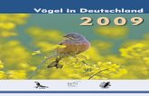 Vögel in Deutschland 2009 - BfN: Startseite · Editorial Liebe Leserin, lieber Leser, die Vogelschutzrichtlinie der Europäischen Gemeinschaft feiert 2009 ihren 30. Geburtstag –
