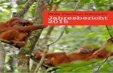 Was PanEco bewirkt Jahresbericht 2015 · Büro unserer Partner-Organisation YEL. Dort herrscht ein reges Treiben. Yves, der Zivi mit ... Biodiversität des Regenwalds Schutz und Erhalt